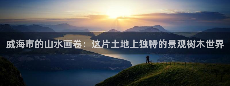 BA娱乐卧龙招商60447
