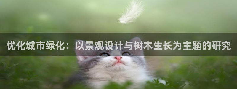 卧龙娱乐主管是谁呀