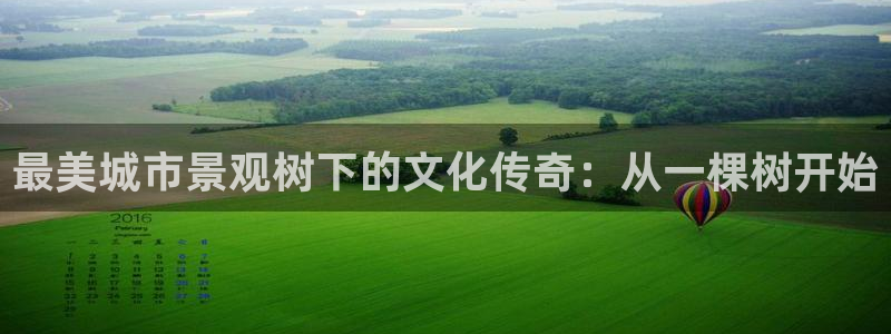 卧龙区微微娱乐商城