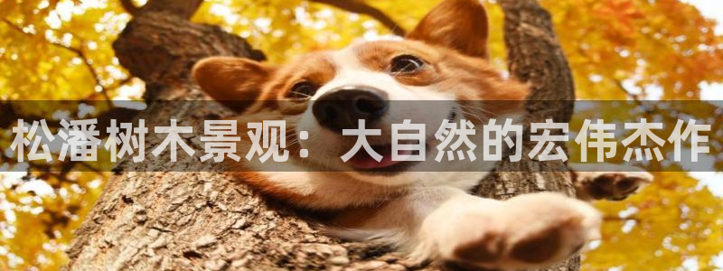 卧龙ktv娱乐会所电话