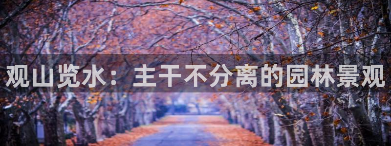卧龙娱乐主管招聘信息