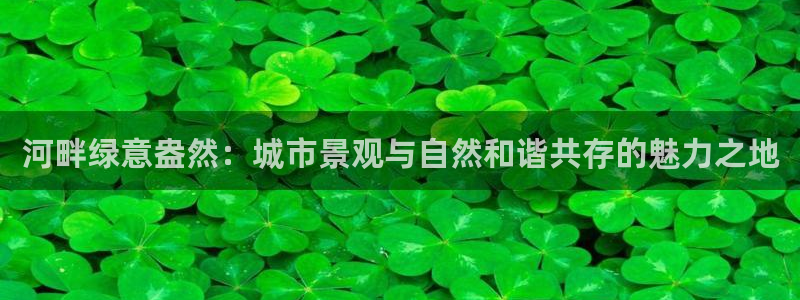 卧龙棋牌娱乐官网