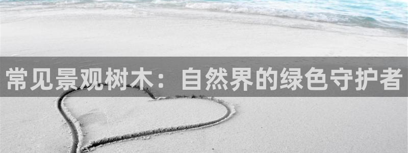 卧龙娱乐气垫项目投资