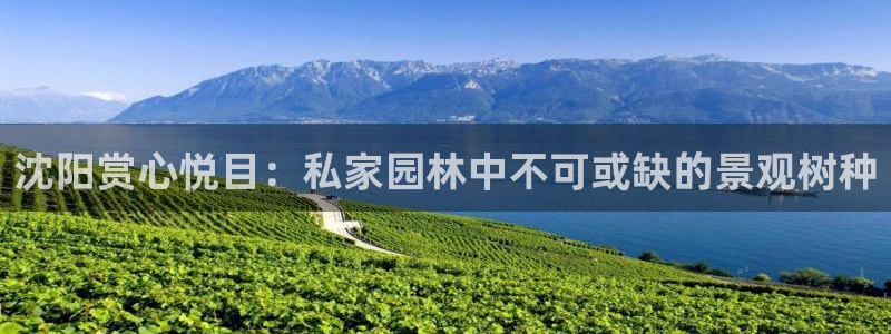 卧龙娱乐直播间