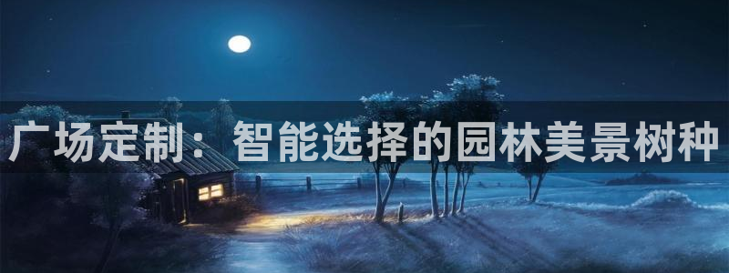 卧龙2神机娱乐攻略