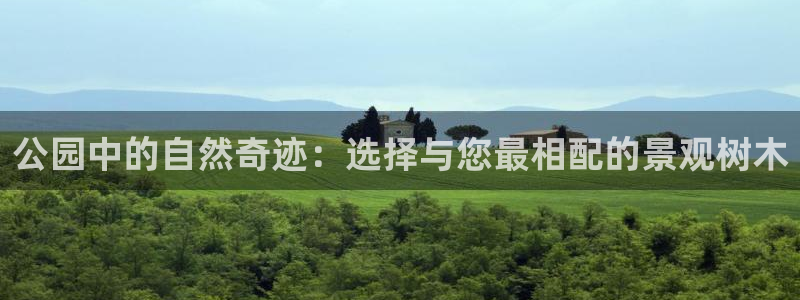 卧龙2神机娱乐攻略