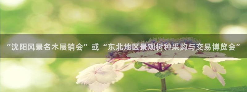 BA娱乐卧龙招商60447