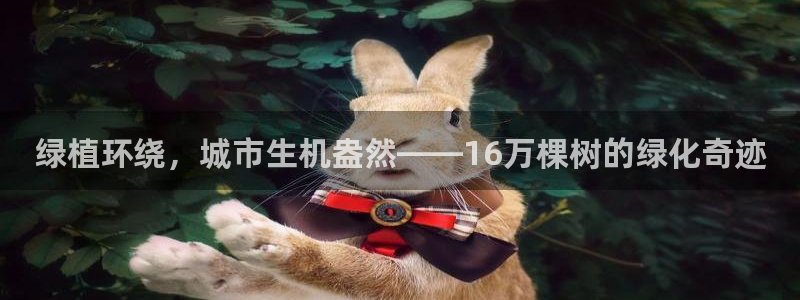 卧龙娱乐怎么样
