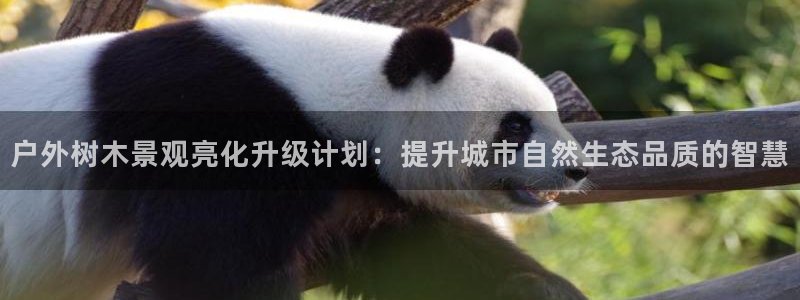 卧龙ktv娱乐会所电话