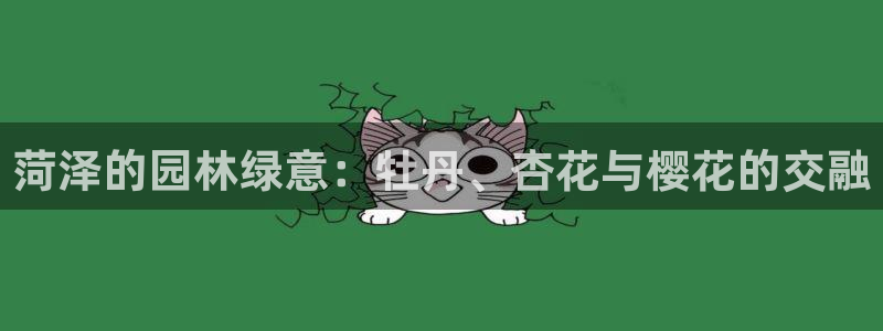 绥阳卧龙湖娱乐