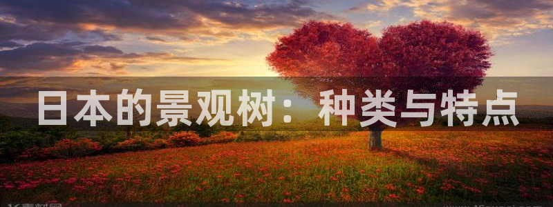 南阳卧龙娱乐厂招聘
