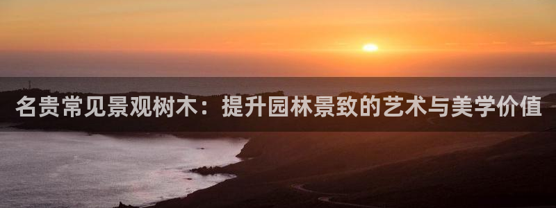 超越娱乐b卧龙313322