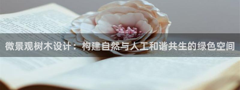 BA娱乐卧龙主管60447
