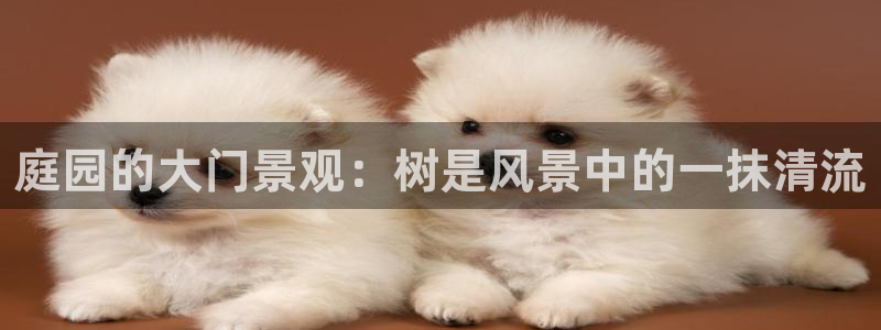 we娱乐 卧龙主管60447：庭园的大门景观：树是风景中的一抹清流