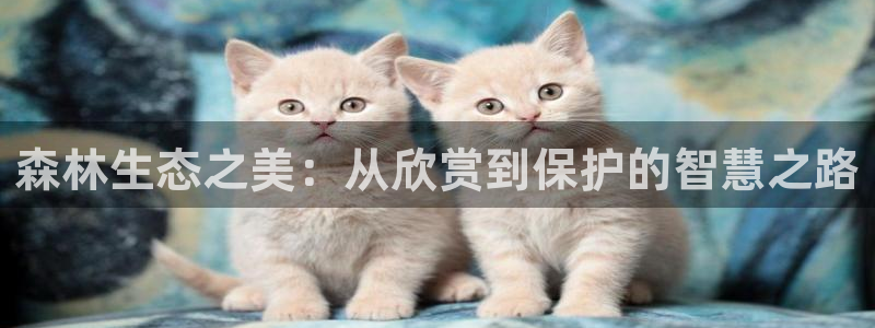 卧龙凤锄娱乐