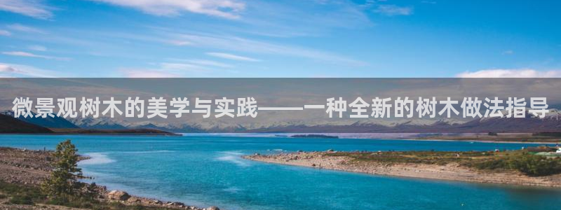 卧龙港娱乐城