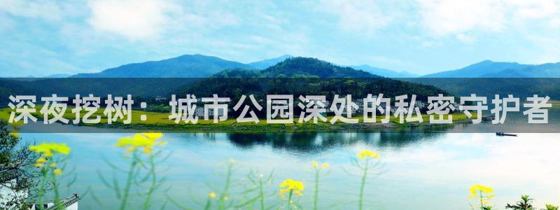 卧龙2神机娱乐攻略