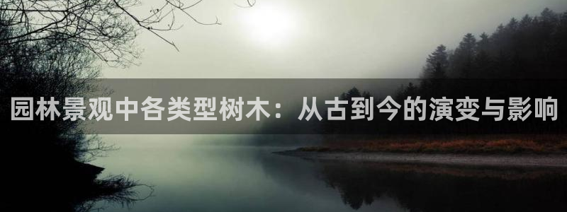 we娱乐 卧龙主管60447