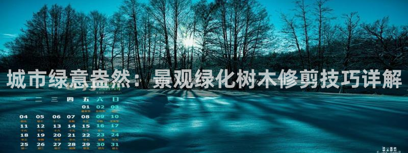 PT娱乐卧龙主管60447