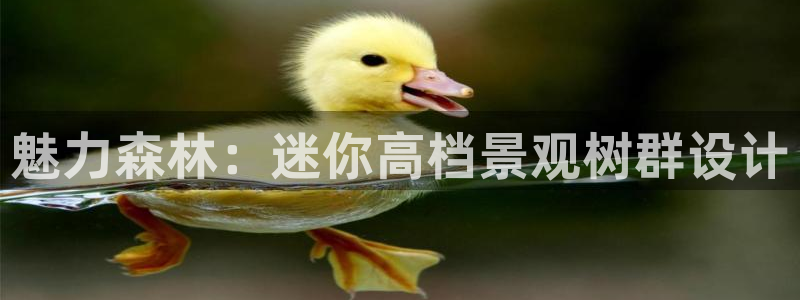 卧龙凤雏娱乐号