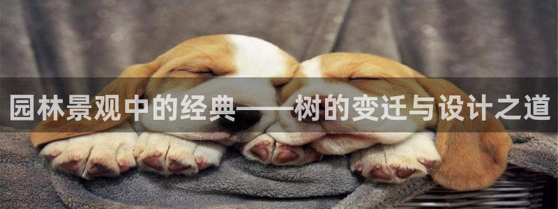 wow卧龙娱乐