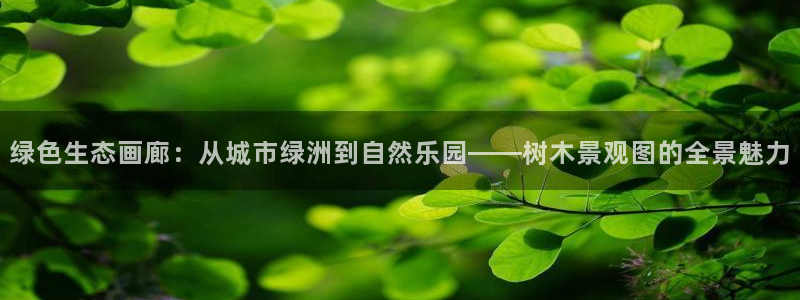 南阳卧龙娱乐会所