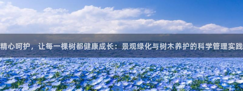 超越娱乐b卧龙313322：精心呵护，让每一棵树都健康成长：景观绿化与树木养护的科学管理实践