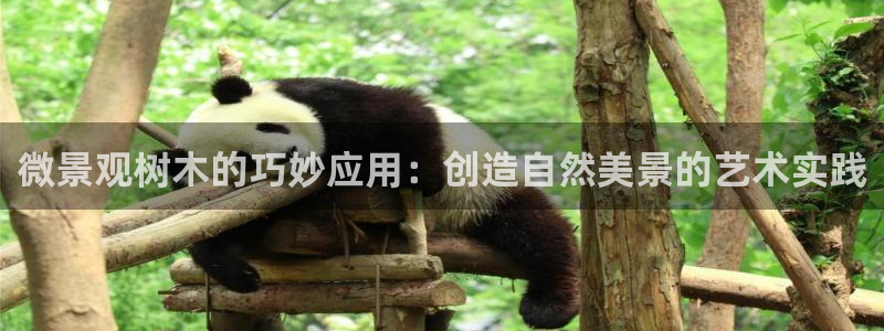 卧龙娱乐挂机平台：微景观树木的巧妙应用：创造自然美景的艺术实践