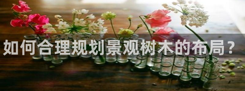 fans娱乐卧龙凤雏