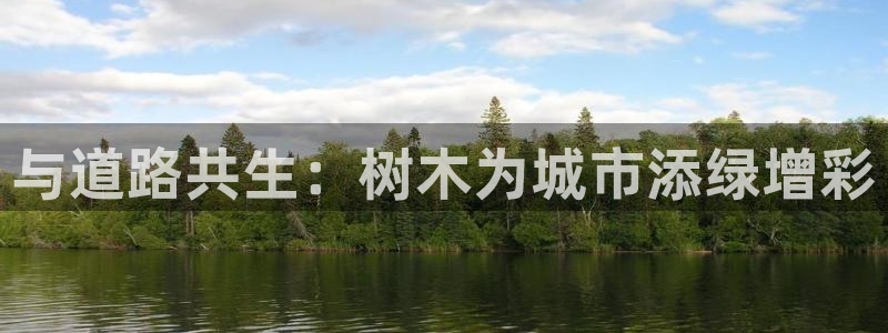卧龙娱乐软件：与道路共生：树木为城市添绿增彩