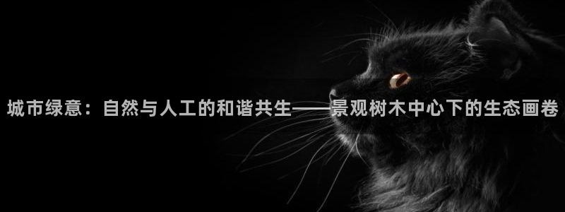 卧龙娱乐有限公司