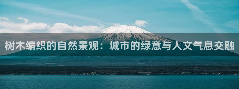 卧龙凤雏直播娱乐