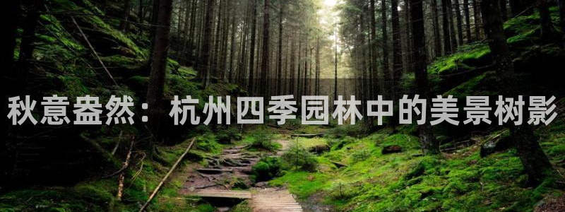 卧龙娱乐招商代理