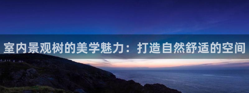 卧龙娱乐在线：室内景观树的美学魅力：打造自然舒适的空间