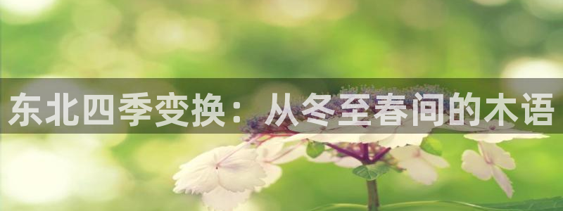 卧龙凤雏娱乐减肥：东北四季变换：从冬至春间的木语