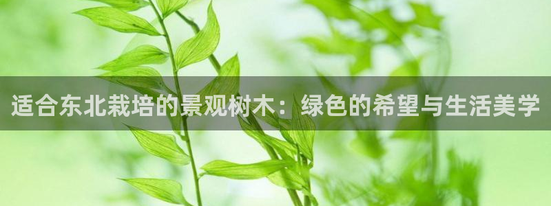 卧龙娱乐属于什么行业
