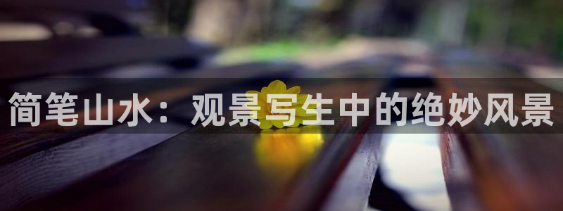星鸿娱乐 0 47卧龙：简笔山水：观景写生中的绝妙风景