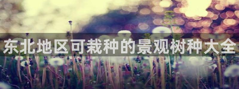 卧龙娱乐主管招聘