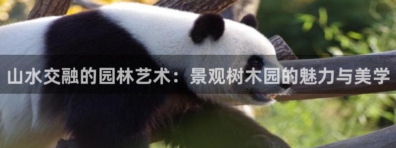 卧龙娱乐地址