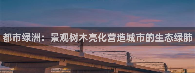 卧龙凤雏娱乐版