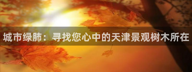 mvp娱乐 卧龙招商60447