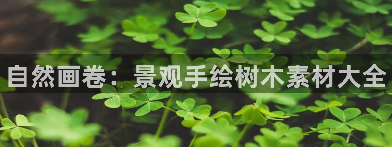 卧龙说娱乐