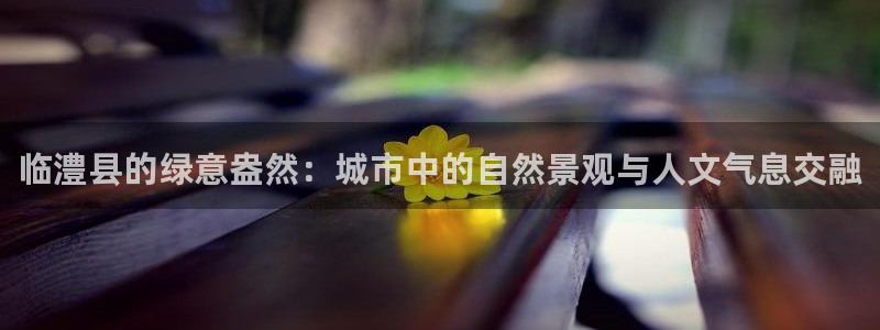 卧龙娱乐集团投注