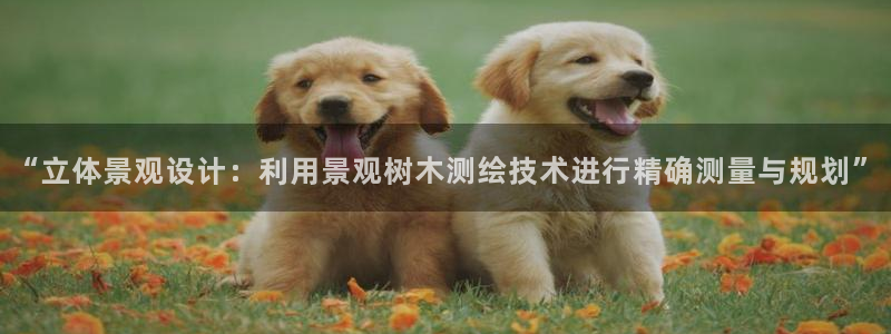 卧龙娱乐app彩票中奖