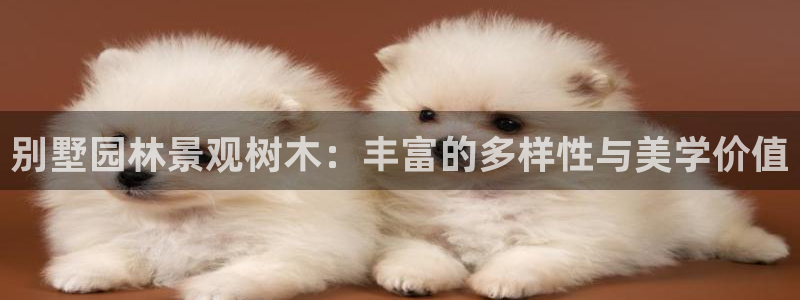 卧龙娱乐挂机平台