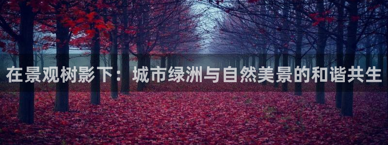 卧龙凤雏娱乐减肥