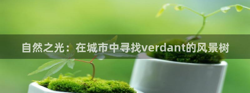 卧龙娱乐彩票怎么玩