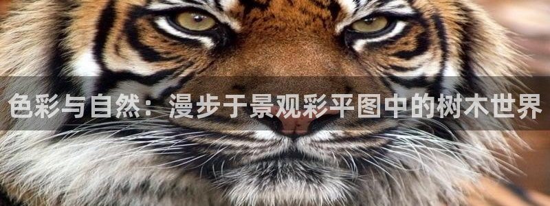 卧龙娱乐是什么意思