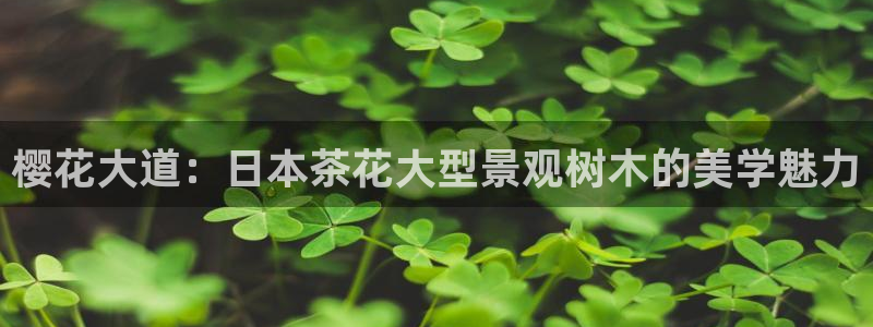 PT娱乐卧龙主管60447