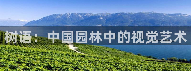 卧龙棋牌娱乐官网